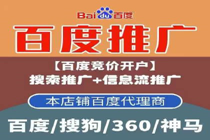 案例对比：不同竞价广告平台的优劣